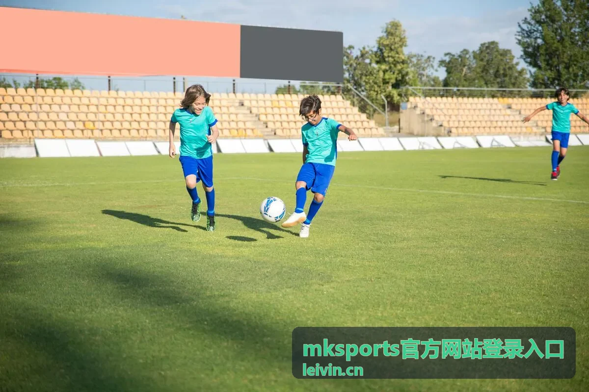 mksports账号安全验证流程示意